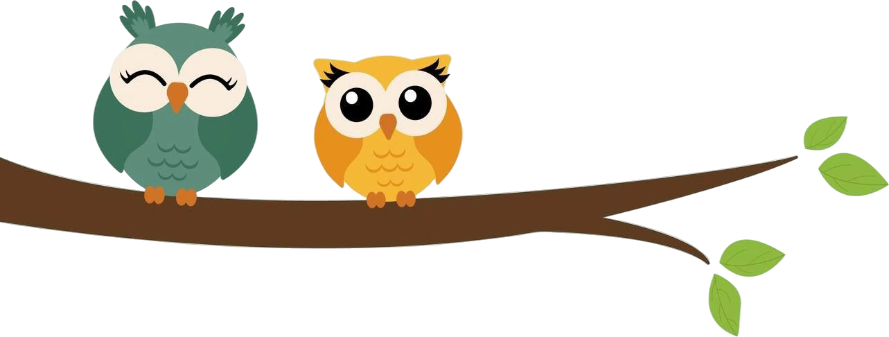 Little Owls