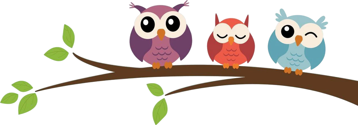 Little Owls